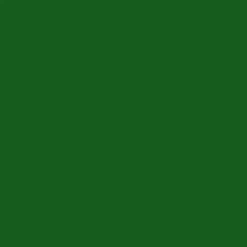 Pintado Verde musgo