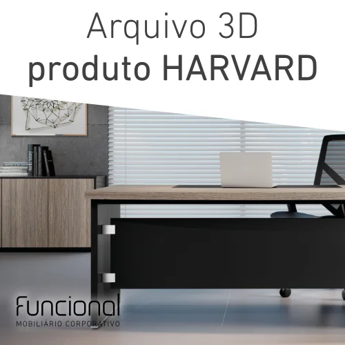 Arquivo 3D Individual 